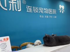 -贝利宠物医院·骨科·眼科·肿瘤转诊中心(南坪诊疗中心)