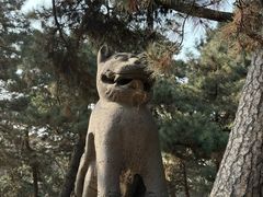 -沈阳市东陵公园