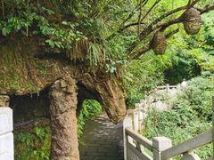 -天河潭旅游度假区