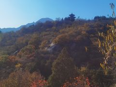 -白水寺森林公园