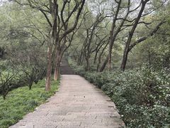 -宁波市保国寺古建筑博物馆