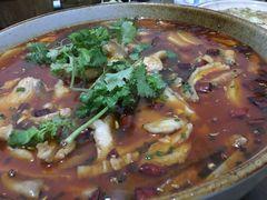 特色肥肠鱼-燕兵眉州肥肠鱼饭店