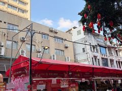 -越秀西湖花市(广州城市广场花卉店)