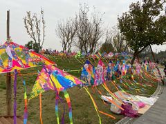 -两河城市森林公园