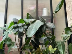 -Laures·月桂西班牙碳烤餐厅(十尚坊店)
