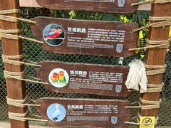 -南宫五洲植物乐园