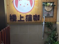 -楼上猫咖(罗湖店)