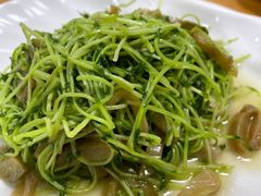 -杨记海鲜楼(三门黑金冠店)