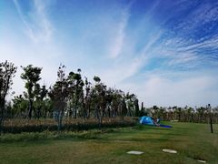 -春花秋色城市公园