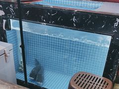 -川流不息·地道川菜·小龙虾(新松江路店)