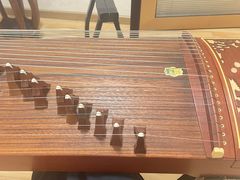 -六艺琴馆钢琴·古筝·古琴·琵琶