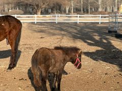 -赛汗塔拉风情园