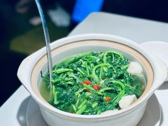 -煲煲好(朝阳门店)