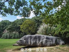 -上海吴淞炮台湾国家湿地公园