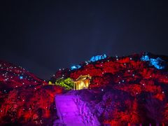 -印象普陀