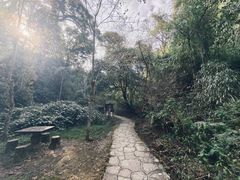 -云南屏边大围山国家公园