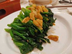 -皇朝尊会(龙之梦大酒店)