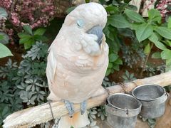 -南宫五洲植物乐园