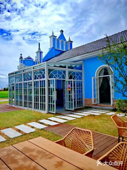 杭州湾海上花田景区图片