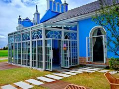 -杭州湾海上花田景区