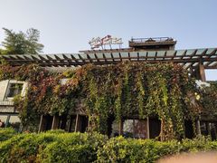 -慢丽江·云南野生菌土鸡锅(付家庄店)