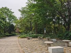 -松山湖南湖湾露营营地