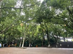 -天目湖山水园
