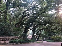 -普陀山雷迪森庄园