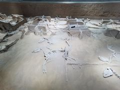 -洛阳周王城天子驾六博物馆