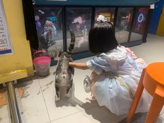 -谜盒子奇幻密室(南屏店)