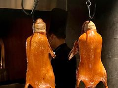 -柿合缘新京菜(静安嘉里中心店)