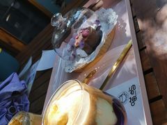 -喵屿·大理花园猫咖