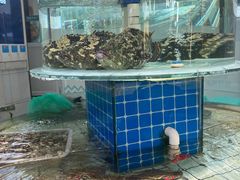 -大锅强·蒸海鲜青岛菜(吾悦广场店)