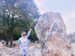 -东湖落雁景区