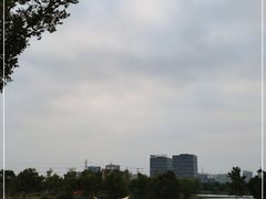 -九科绿洲
