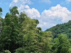 -东白山