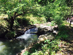 -夏霖九天银瀑风景区