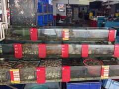 -鑫鸿达·海鲜闽菜热炒小馆(中山路店)
