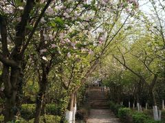 -白马涧龙池景区
