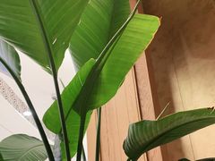 -泰香米泰国餐厅(中大国际店)