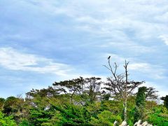 -济州森林小火车生态公园