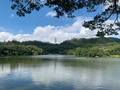 -深圳仙湖植物园