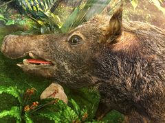 -下渚湖国家湿地公园科普馆