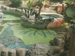 -渔岛海洋度假区