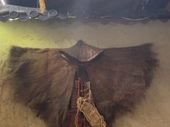 -柿子树炭烤羊腿(金台路店)