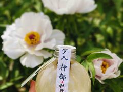 -洛阳市隋唐城遗址植物园