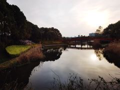 -美兰湖景区