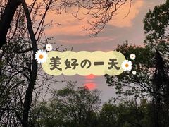 -大蜀山国家森林公园