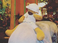 -济州岛泰迪熊博物馆