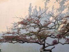 -拙政园